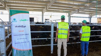 57 ألف كيلو لحوم للفقراء ببني سويف في العيد 