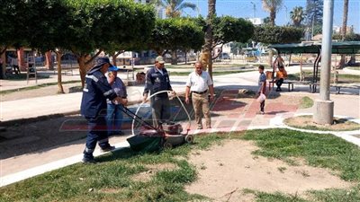 حملات نظافة مستمرة لاستقبال عيد الأضحى المبارك ورفع 2210 أطنان قمامة بكفر الشيخ 