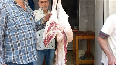 محافظ الإسكندرية يشدد على رؤساء الأحياء باستمرار تكثيف الحملات المكبرة لمنع إقامة الشوادر والذبح بالشوارع 