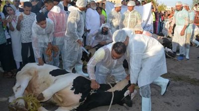 الزملّوط يشاهد نحر عدد من الأضاحي بساحة حديقة ٣٠ يونيو