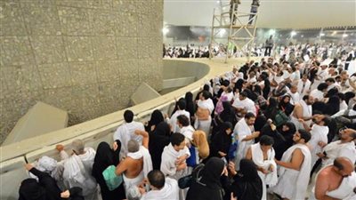 حجاج برنامج 