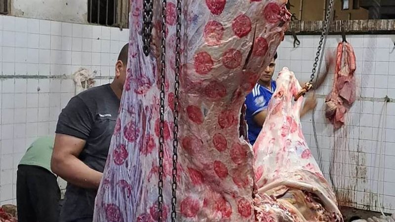 الذبح فى المجازر