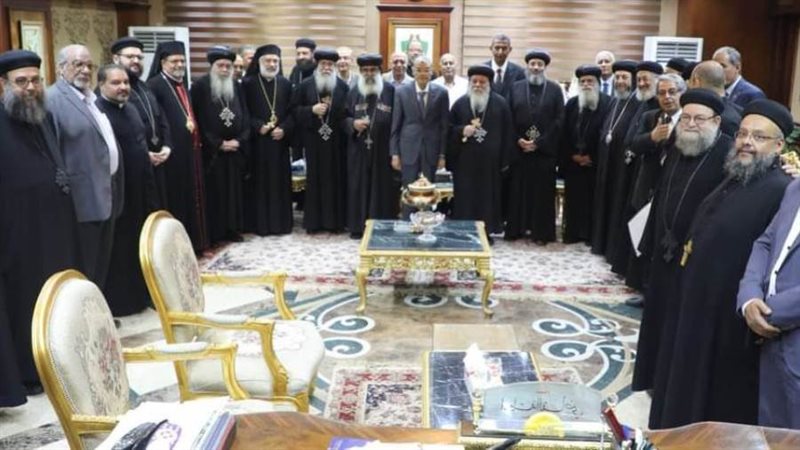 محافظ المنيا يستقبل