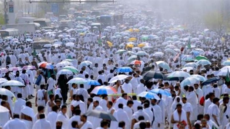 صورة ارشيفية_ضيوف