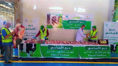 محافظ أسيوط يعلن ذبح وتوزيع لحوم 42 (عجل بلدي) على الأسر الأولى بالرعاية خلال العيد
