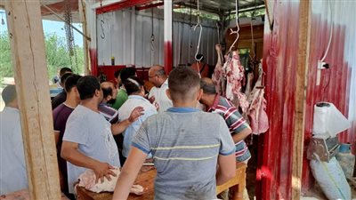 محافظ الإسكندرية: استمرار تكثيف الحملات المكبرة لمنع إقامة الشوادر والذبح بالشوارع