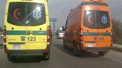 بالأسماء.. إصابة 9 اشخاص فى انقلاب ربع نقل بصحراوي ابوقرقاص بالمنيا