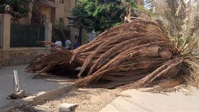 التنمية المحلية تستجيب لشكوي ابنة شقيق الأديب الراحل العقاد 