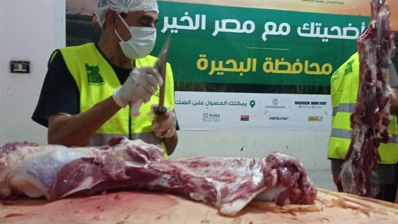 مؤسسة مصر الخير بالبحيرة: