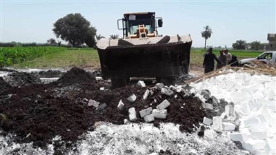  محافظ المنيا: إزالة 260 حالة تعدٍ على الأرض الزراعية وأملاك الدولة خلال إجازة العيد