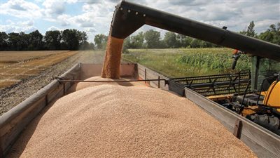 روسيا ترفض تنازل الاتحاد الأوروبي بشأن اتفاق الحبوب الأوكرانية المهدد