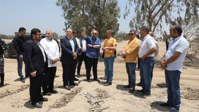 دراسة اقامة سوق للسيارات