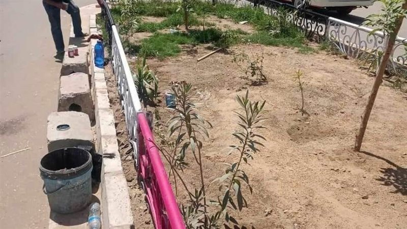 عمليات النظافة والتجميل