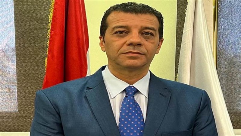 المستشار وليد حمزة