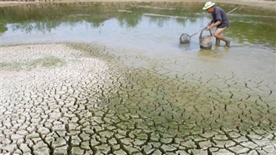 الصين: الجفاف يؤثر على 710 آلاف هكتار من الأراضي الزراعية شمالي البلاد