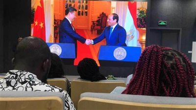 أمين عام حماة الوطن: مصر والصين شراكة نحو التنمية المستدامة