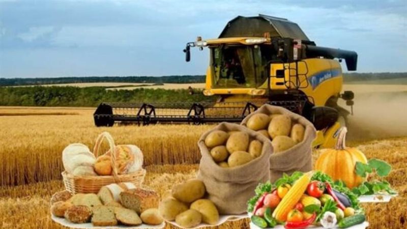 منظمة الأغذية والزراعة