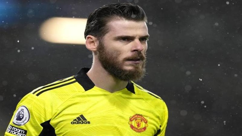 الحارس الإسباني ديفيد