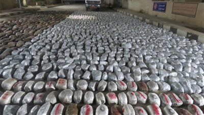 ضبط تشكيل عصابي شديد الخطورة تخصص في تهريب وتجارة المخدرات 