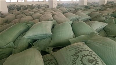 تحرير 56 مخالفة تموينية وضبط 5 آلاف شيكارة دقيق و4560 بطاقة تموينية داخل احد المخابز بأسيوط 