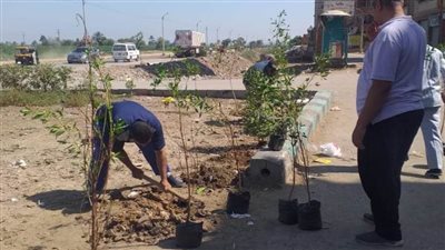 حملات نظافة وتجميل وتشجير ورفع إشغالات بمدن ومراكز المنيا 
