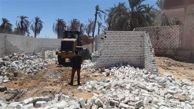 في الوادي الجديد..تنفيذ إزالة ٣٦ حالة تعديات على أملاك الدولة ضمن المرحلة الثالثة من الموجة ٢١