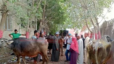 قافلة بيطرية ضمن 