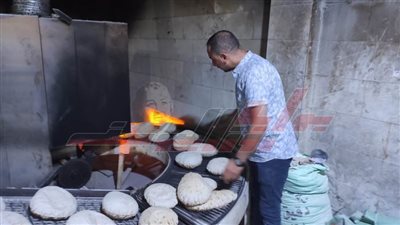 تحرير 212 محضرًا متنوعًا لأصحاب المخابز بقرى ومدن كفر الشيخ