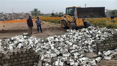 إزالة 65 حالة تعدٍ على الأراضي الزراعية وأملاك الدولة بالبحيرة