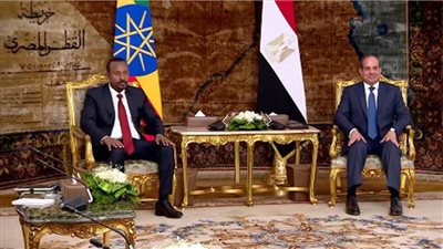 عاجل.. الرئيس السيسي يبحث مع رئيس وزراء أثيوبيا ملف سد النهضة 