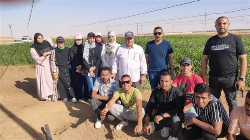 جولات ميدانية وتدريبات