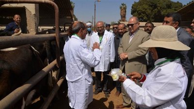 محافظ أسيوط يعلن انطلاق الحملة القومية للتحصين ضد الحمى القلاعية وحمى الوادي المتصدع