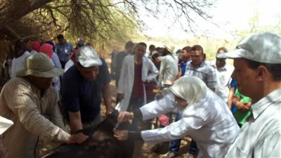 غدًا.. انطلاق الحملة القومية للتحصين ضد الحمى القلاعية والوادي المتصدع بالوادي الجديد