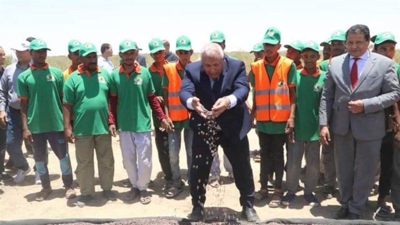 بإنتاج متميز للعام