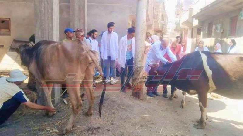 القافلة البيطرية