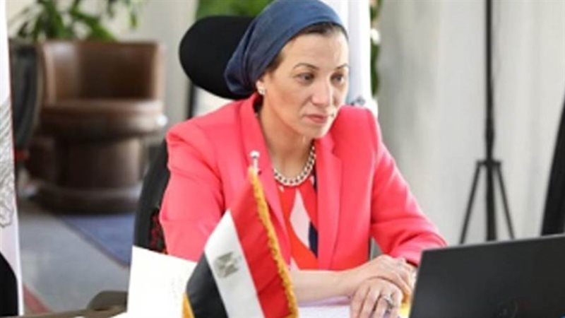 الدكتورة ياسمين فؤاد