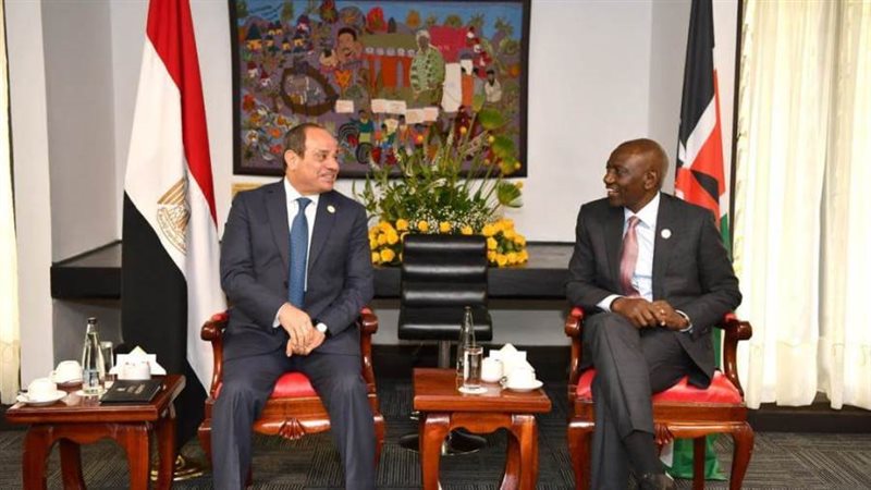 جانب من لقاء الرئيس