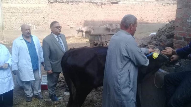 تحصين الحيوانات