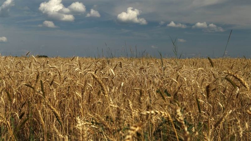 صوره ارشفيه