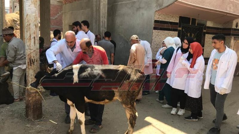 تحصين المواشي