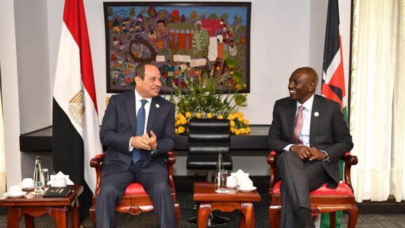 الرئيس عبد الفتاح