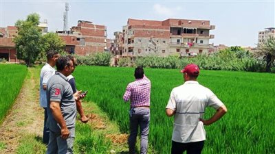 ختام فعاليات دورة ترشيد استخدام الموارد المائية بزراعة البحيرة 