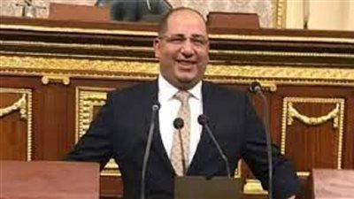 النائب أحمد نويصر: توطين صناعة الأسمدة تأكيد على دعم الدولة للقطاع الزراعي