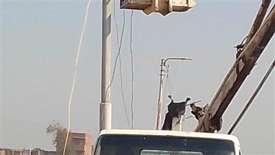 حملة لصيانة أعمدة وكشافات الإنارة وتمهيد وتسوية الطرق في 3 مراكز بالمنيا