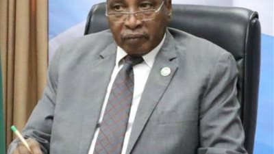 مدير المنظمة العربية للتنمية الزراعية: فاتورة استيراد الغذاء العربي تبلغ 40 مليار دولار ومرشحة للزيادة