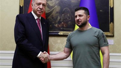 أردوغان يناقش مع زيلينسكي تفاصيل تمديد صفقة الحبوب