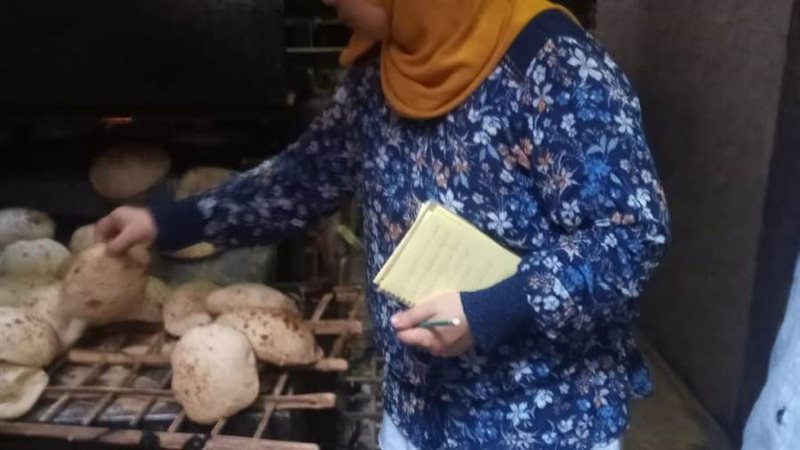 حملات تموينية