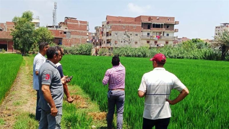 ختام فعاليات دورة