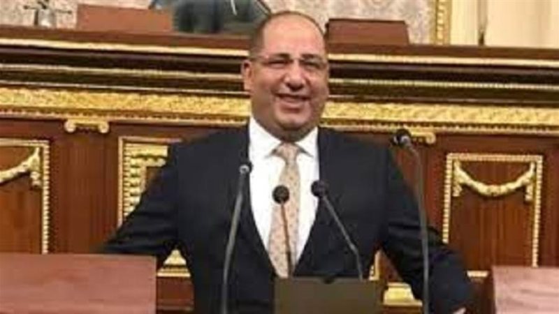 النائب أحمد سعد نويصر