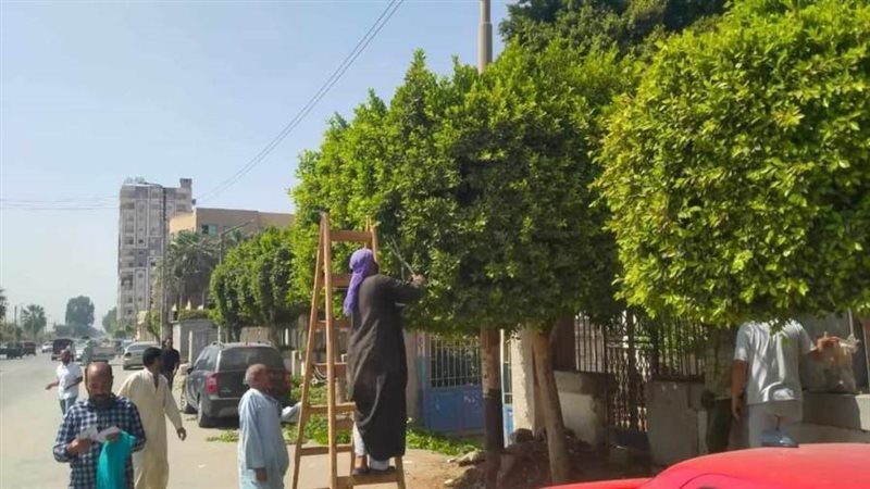 زراعة أشجار مثمرة